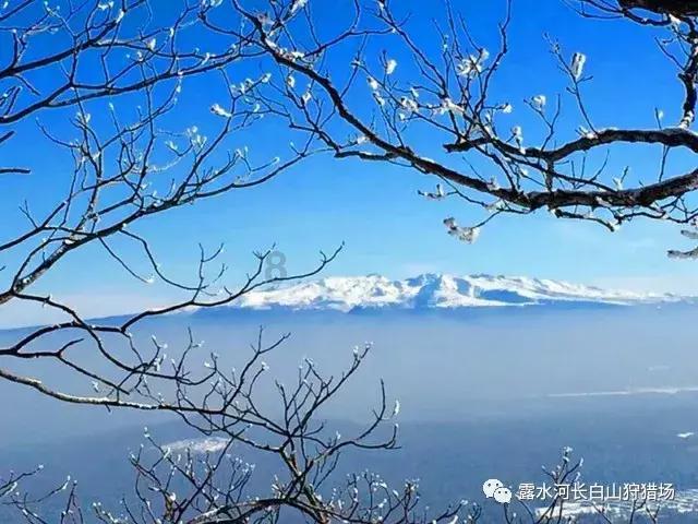韩庚自曝抑郁是在卖惨,偷卖电脑、让同学喝尿才是他