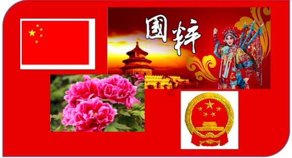 速冻水饺热收缩包装机详细介绍