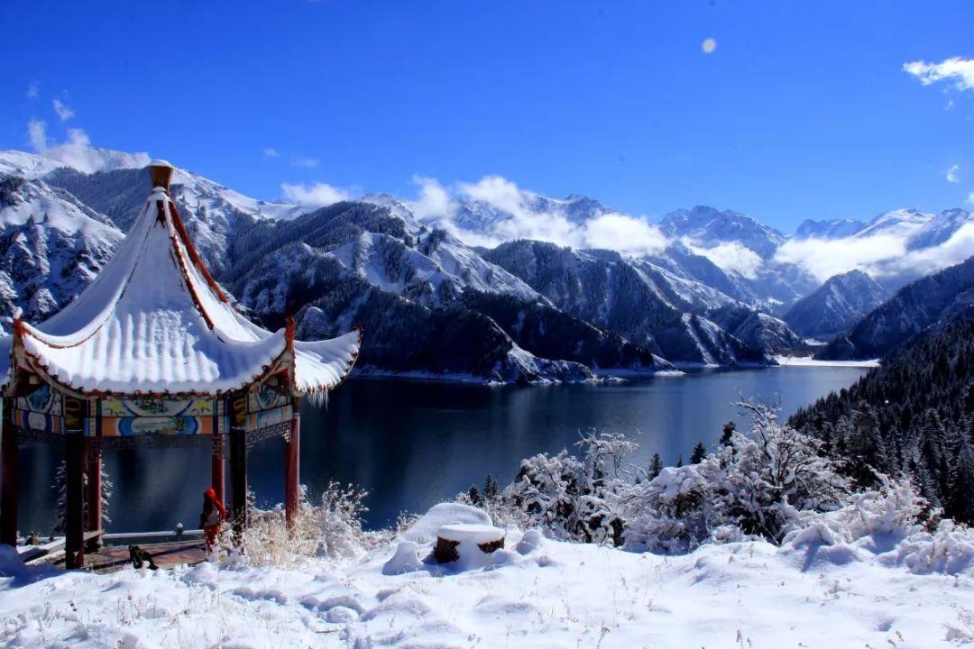 如何让冰箱不结冰？游戏画面